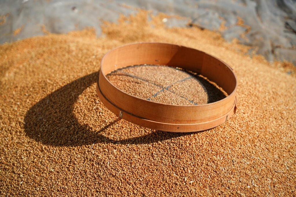 pexels photo 30723398 30723398 A wooden sieve resting on a pile of wheat grains, sunlit and outdoors.